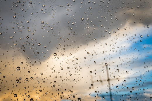 01_Regen_09.jpg